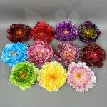 Piwonia RS233998 kolory