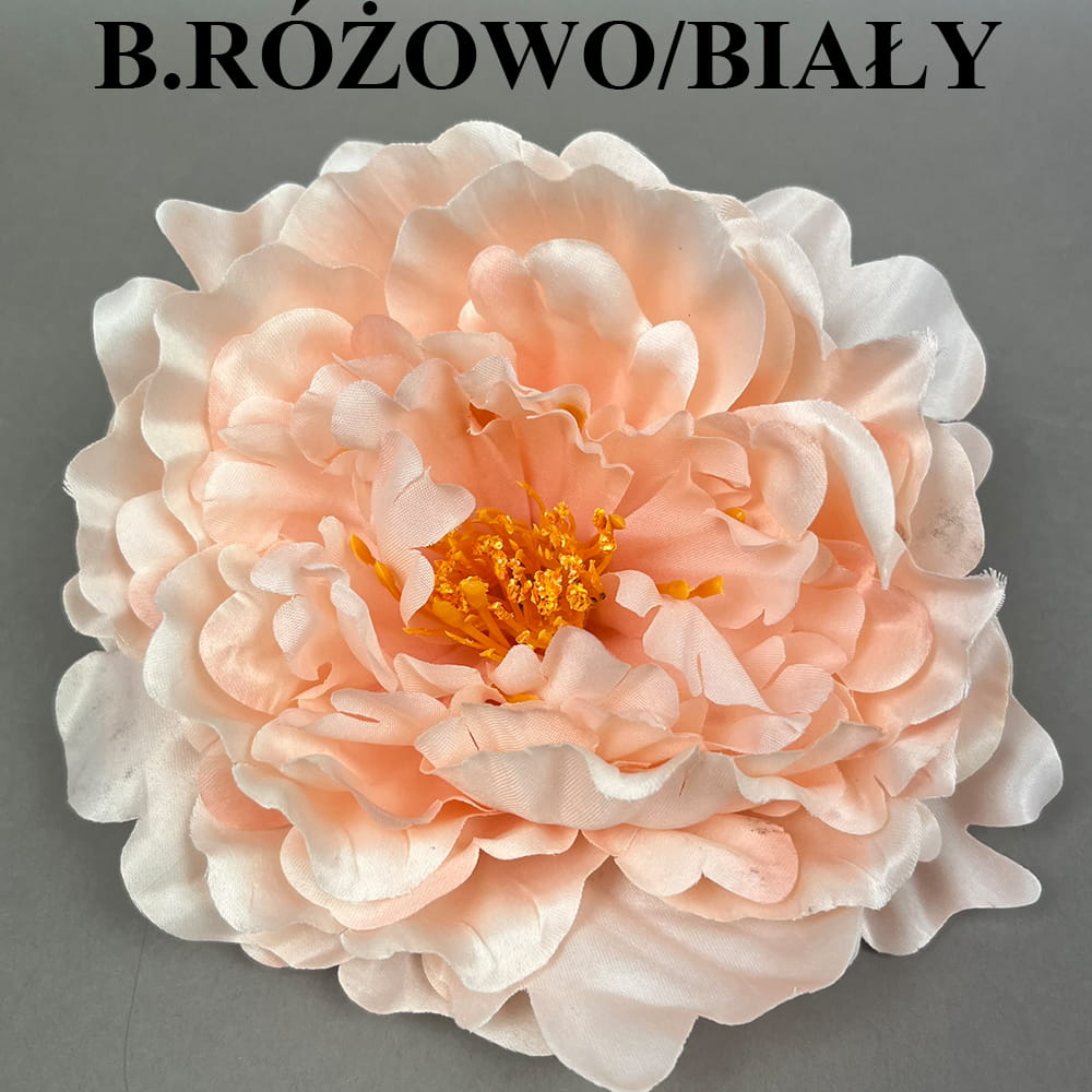 B.RÓŻOWO BIAŁY.jpg