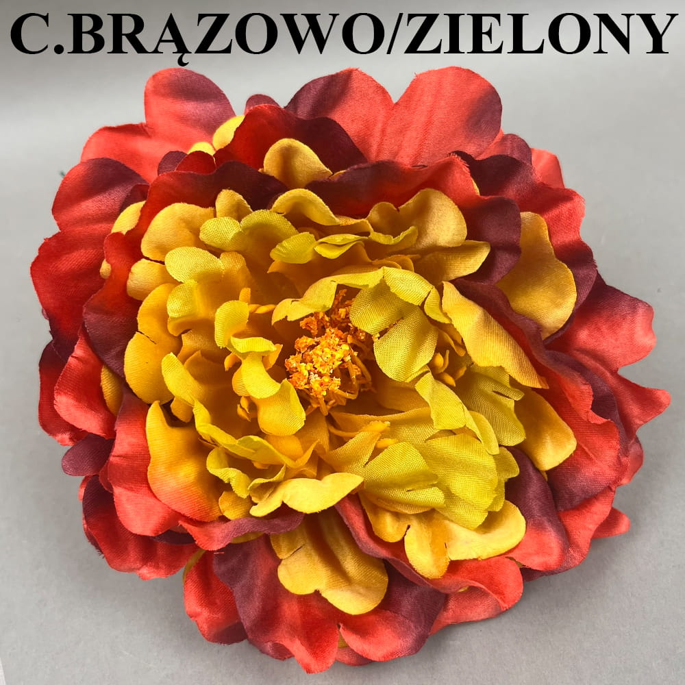 C.BRĄZOWO ZIELONY.jpg