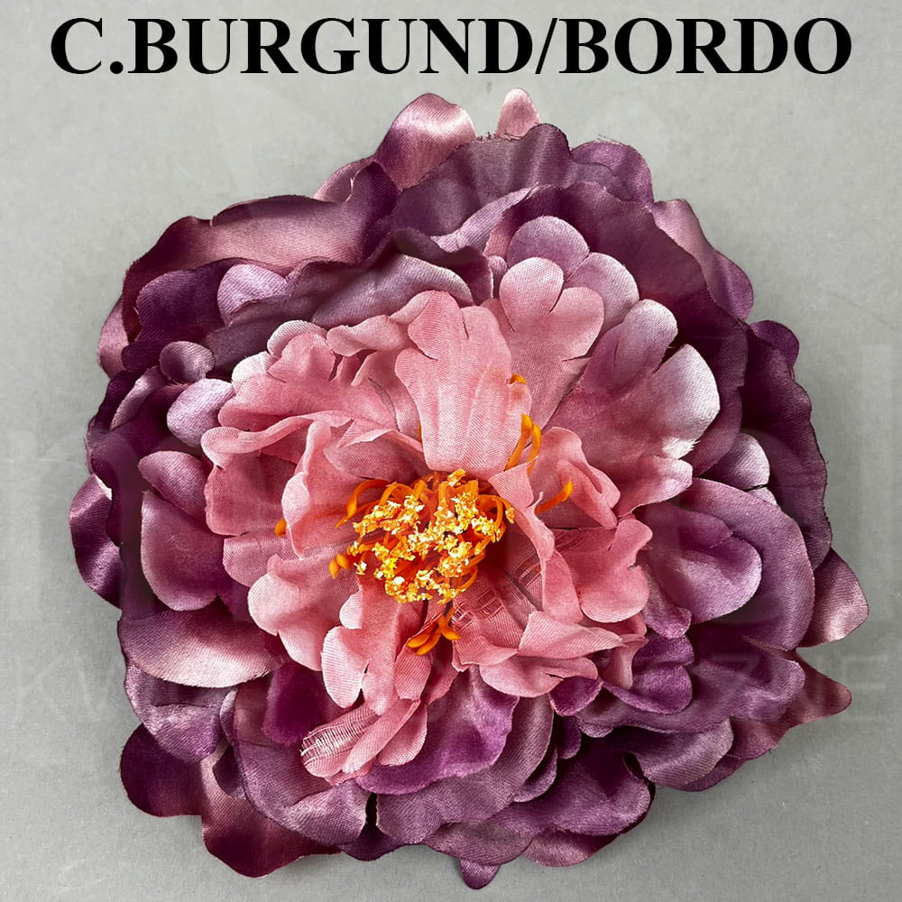 C.BURGUND BORDO.jpg