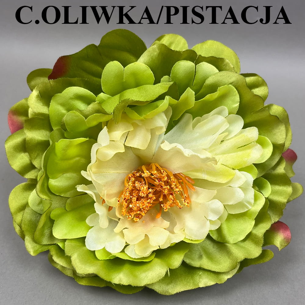 C.OLIWKA PISTACJA.jpg