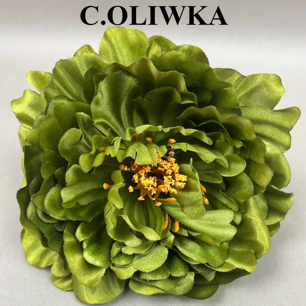 C.OLIWKA.jpg