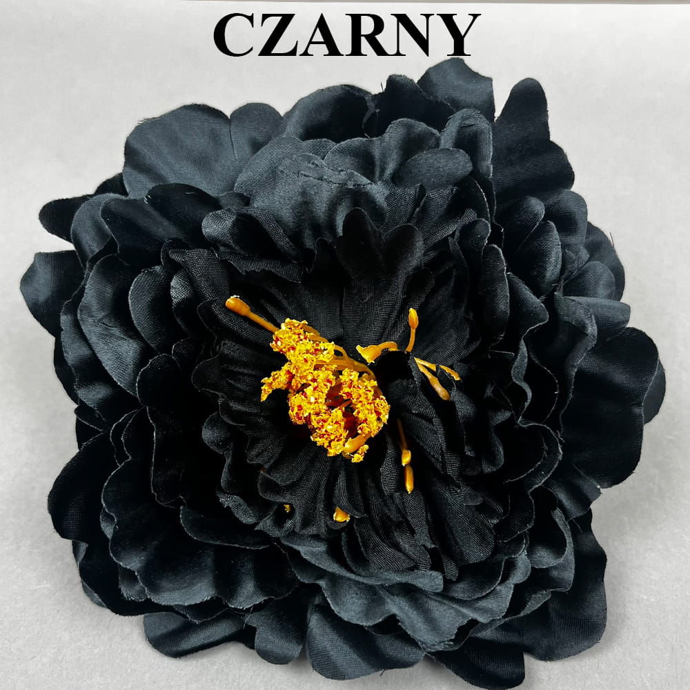 CZARNY.jpg