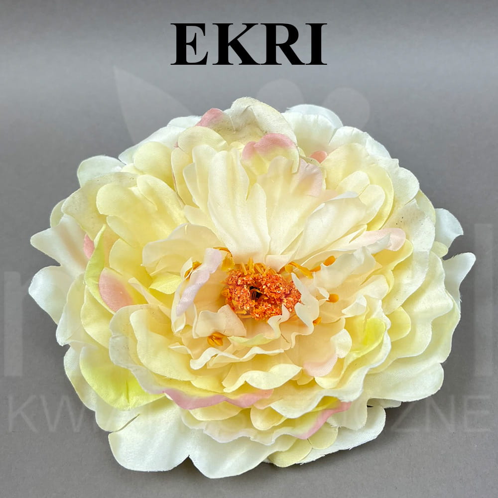 EKRI.jpg