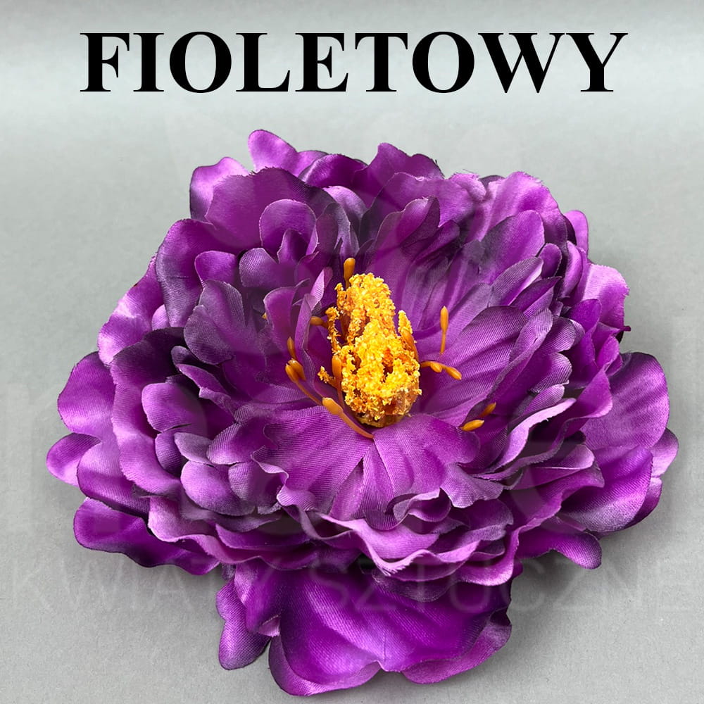 FIOLETOWY.jpg
