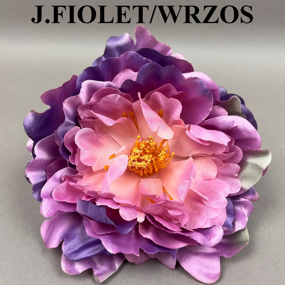 J.FIOLET WRZOS.jpg
