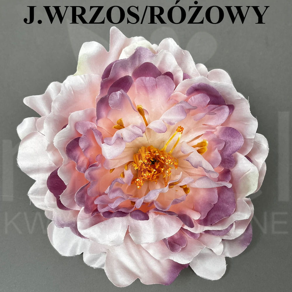 J.WRZOS RÓŻOWY.jpg