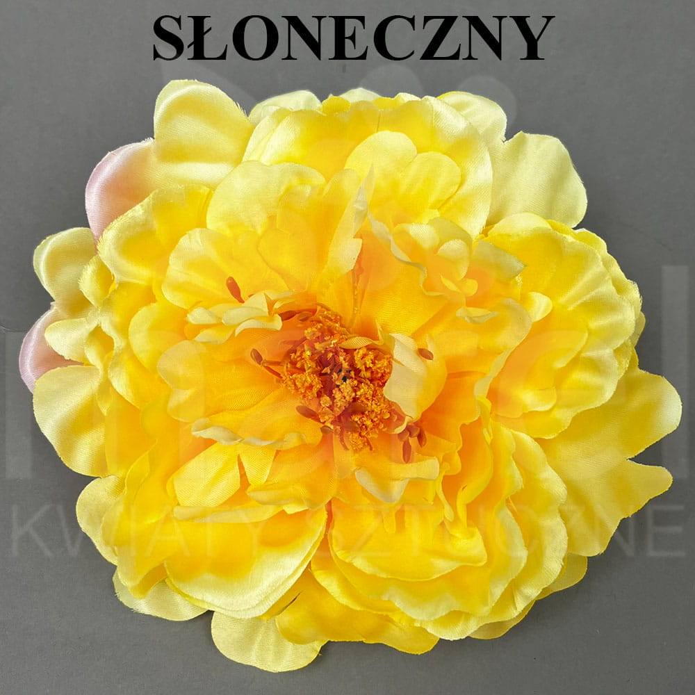 SŁONECZNY.jpg