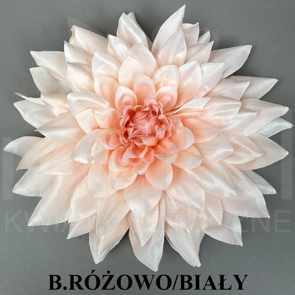 B.RÓŻOWO BIAŁY.jpg