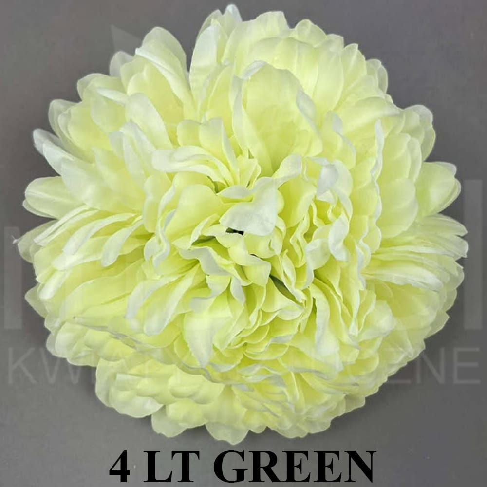 4 LT GREEN.jpg