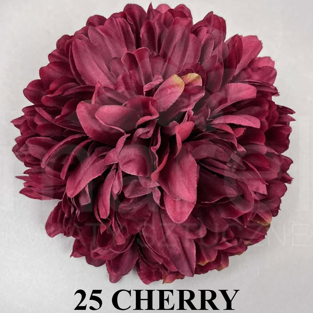 25 CHERRY.jpg