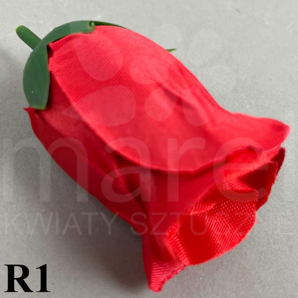 R1.jpg