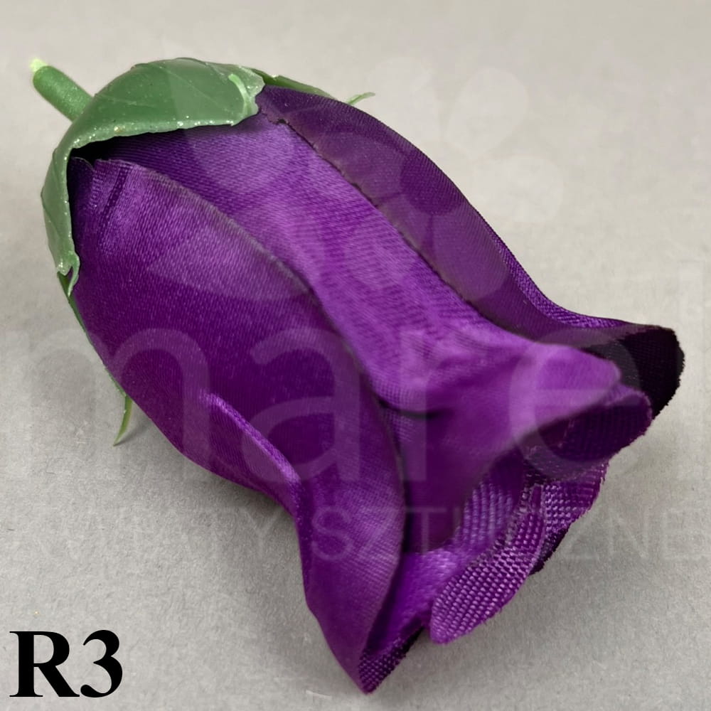 R3.jpg