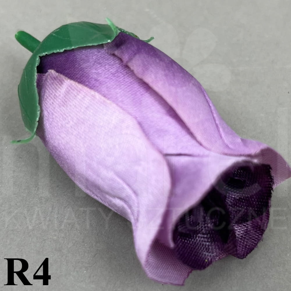R4.jpg