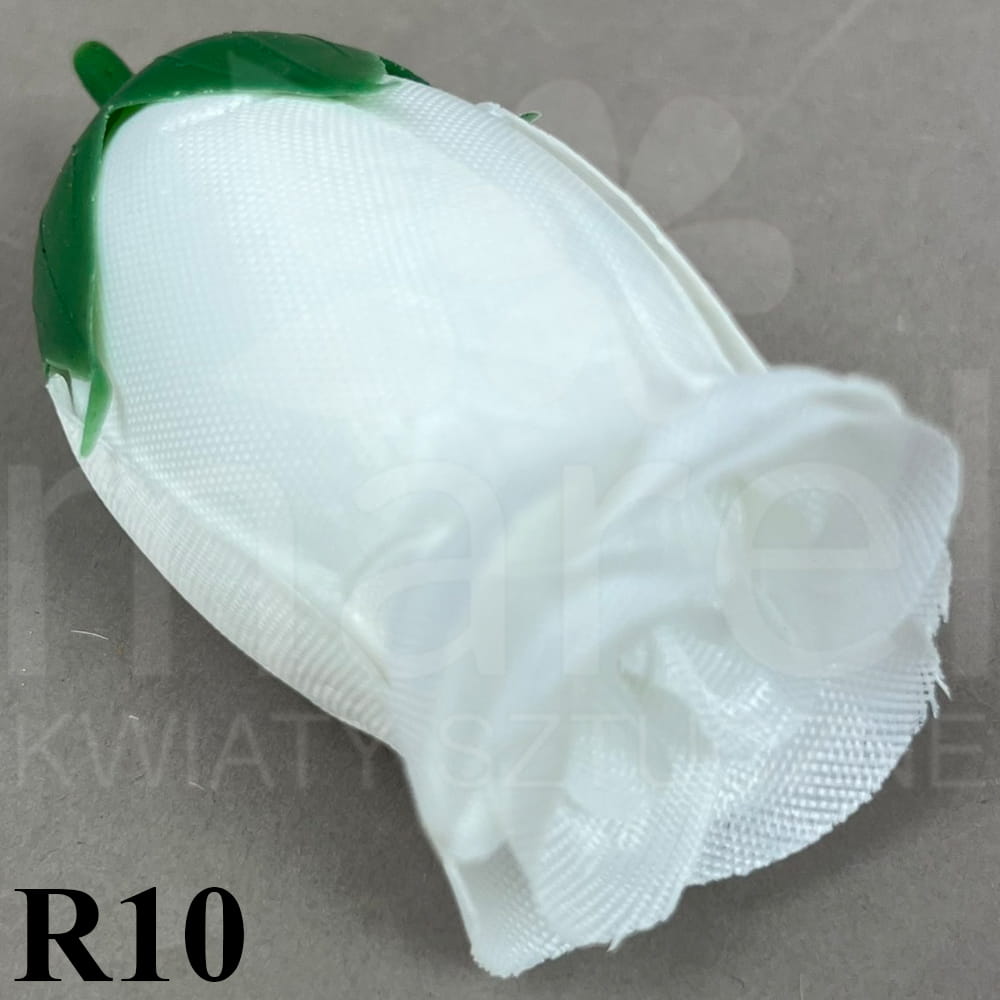R10.jpg