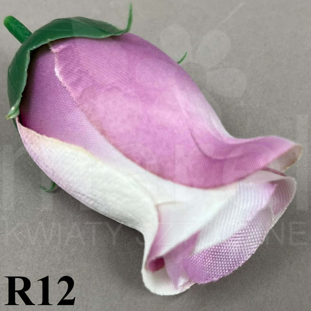 R12.jpg