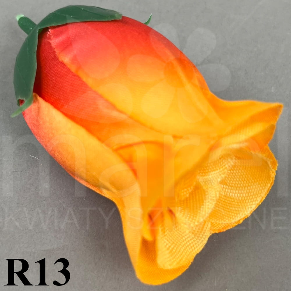 R13.jpg