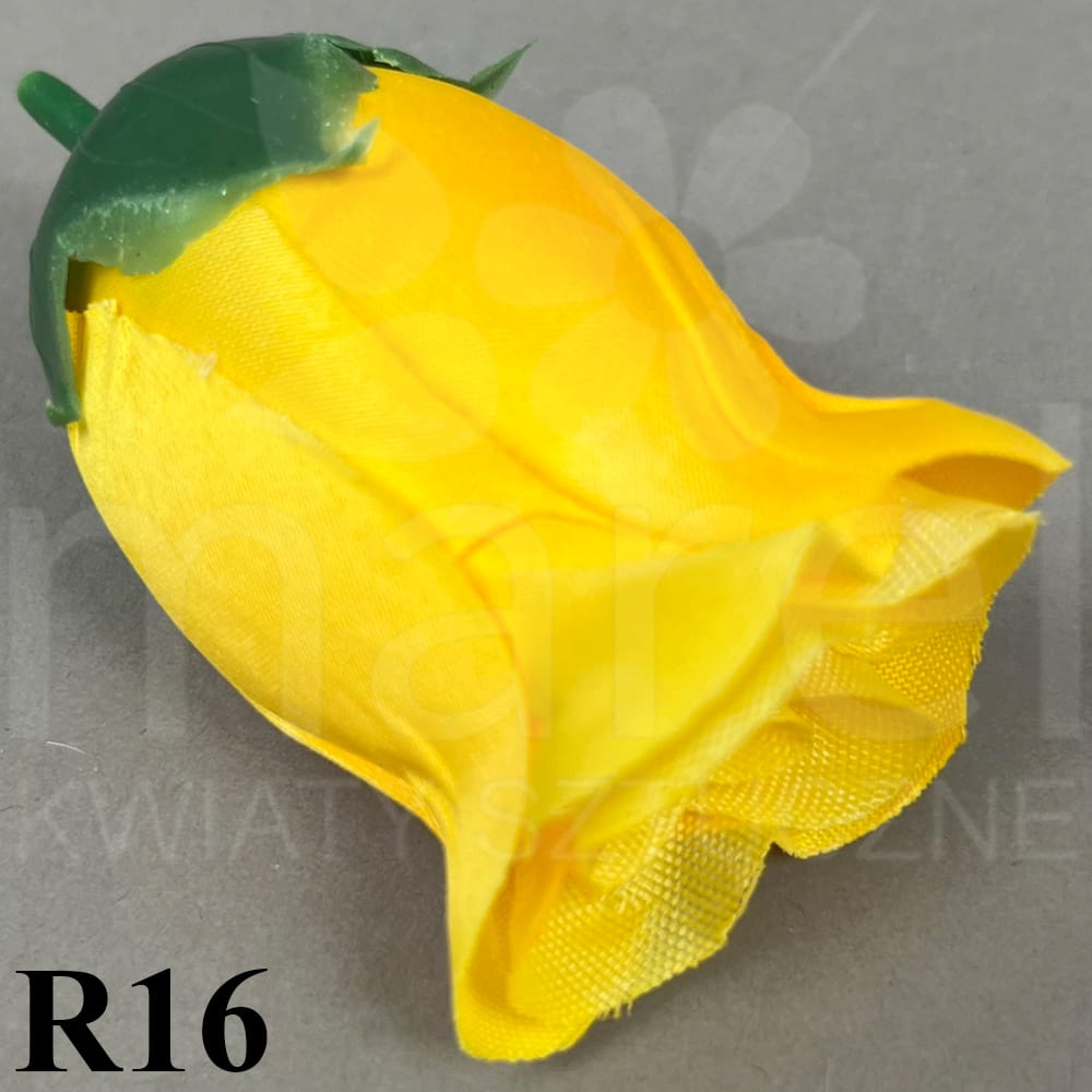 R16.jpg
