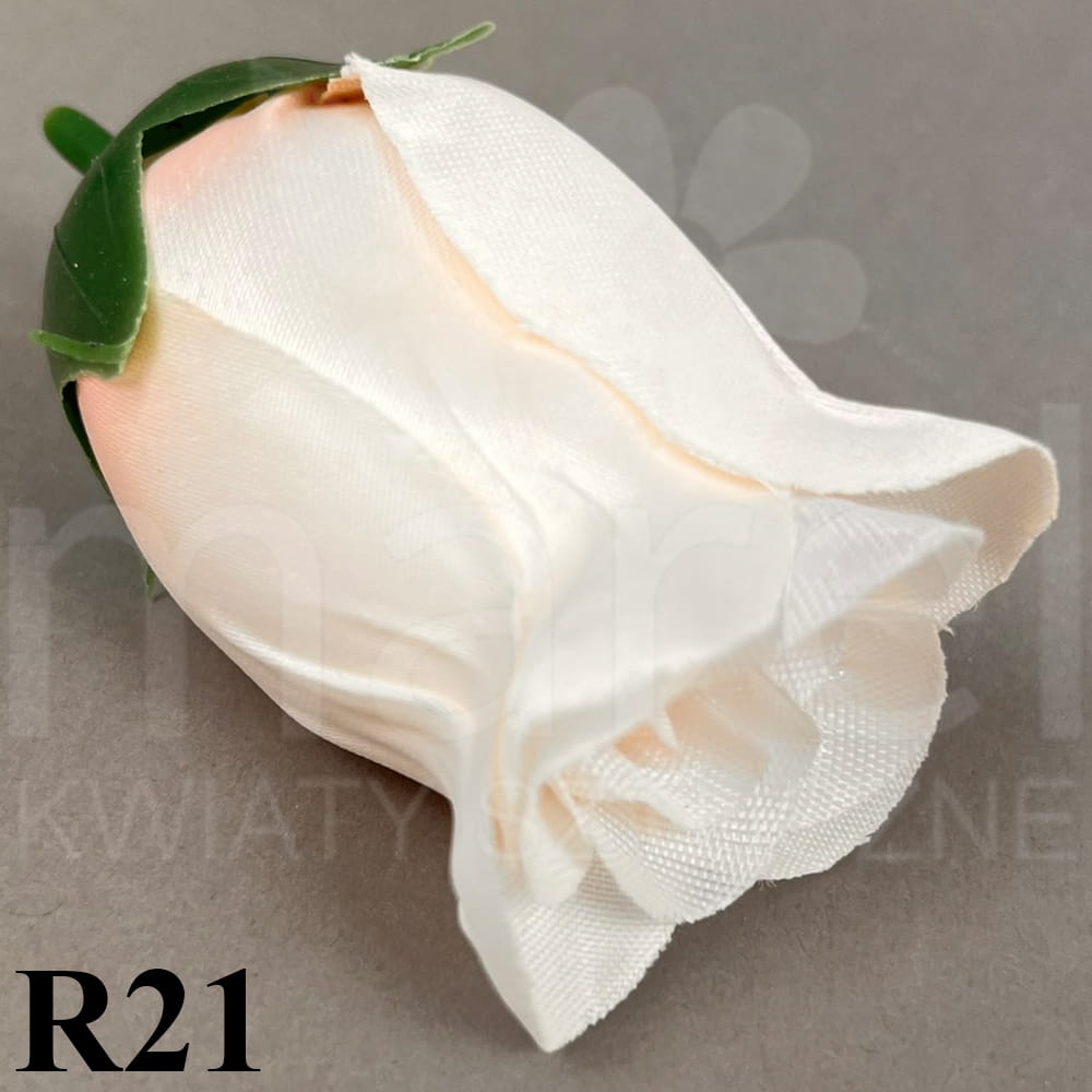 R21.jpg