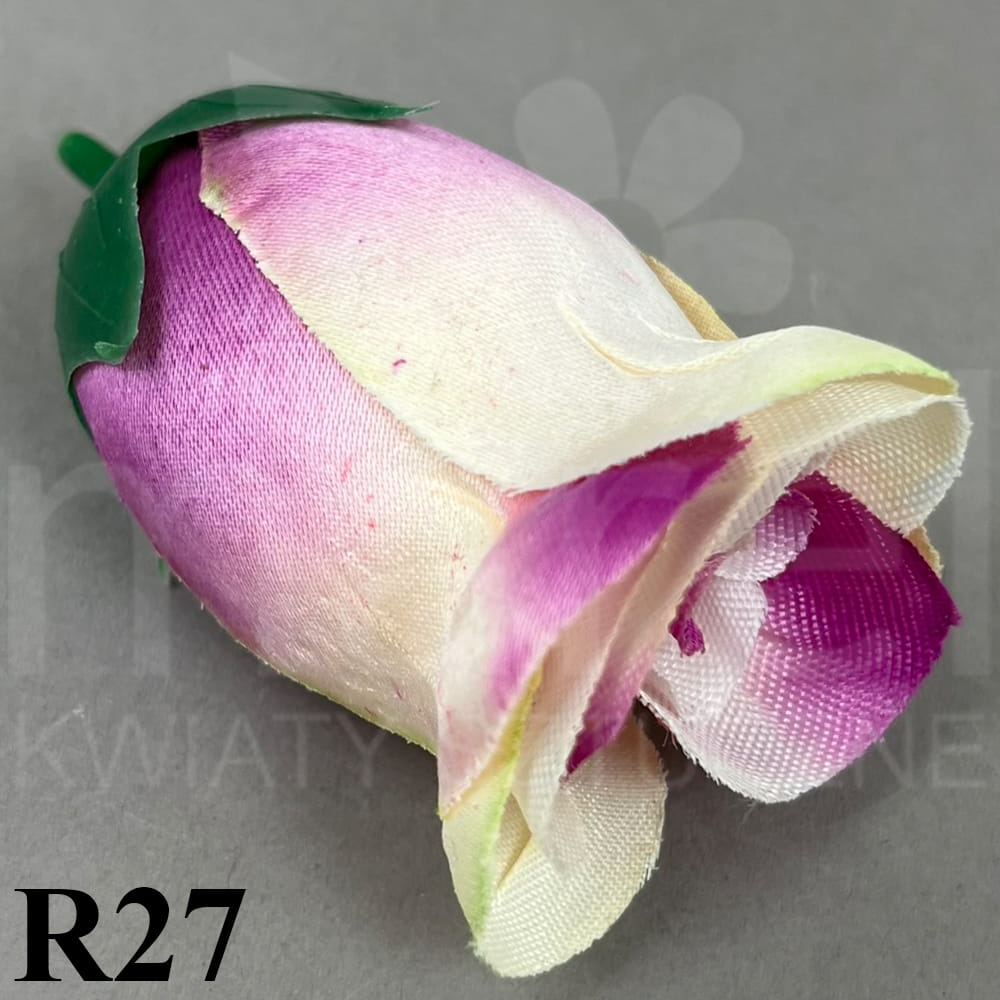 R27.jpg