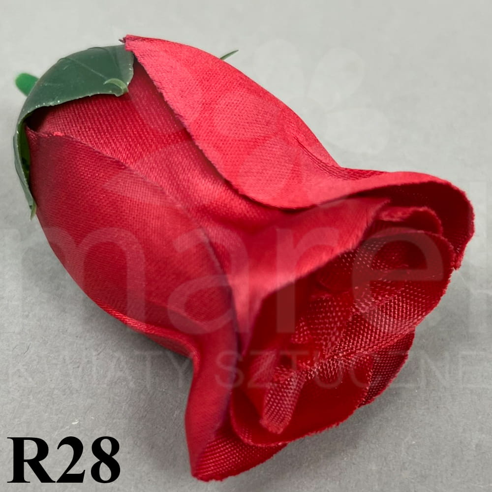 R28.jpg