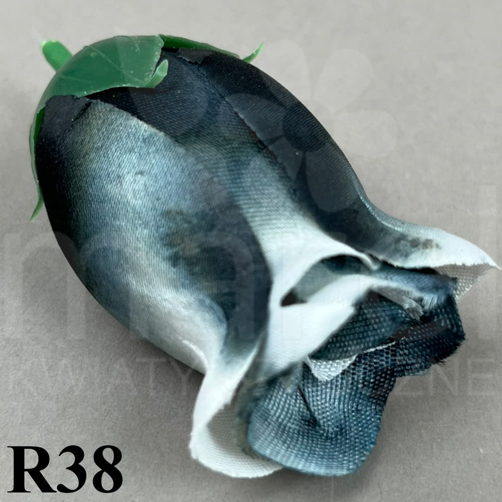 R38.jpg