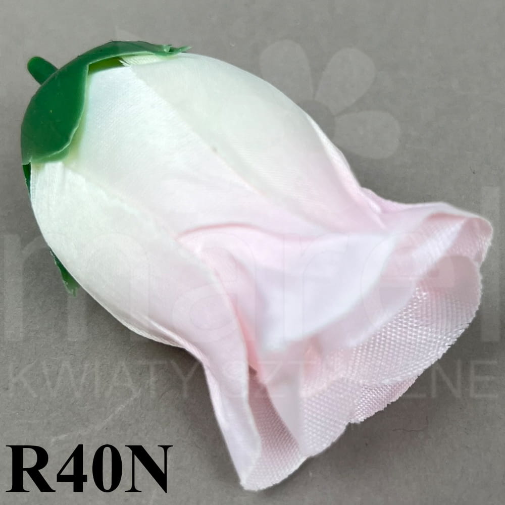 R40N.jpg