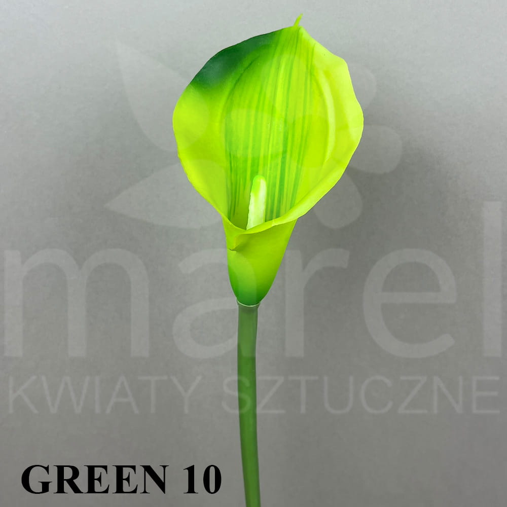 GREEN 10.jpg