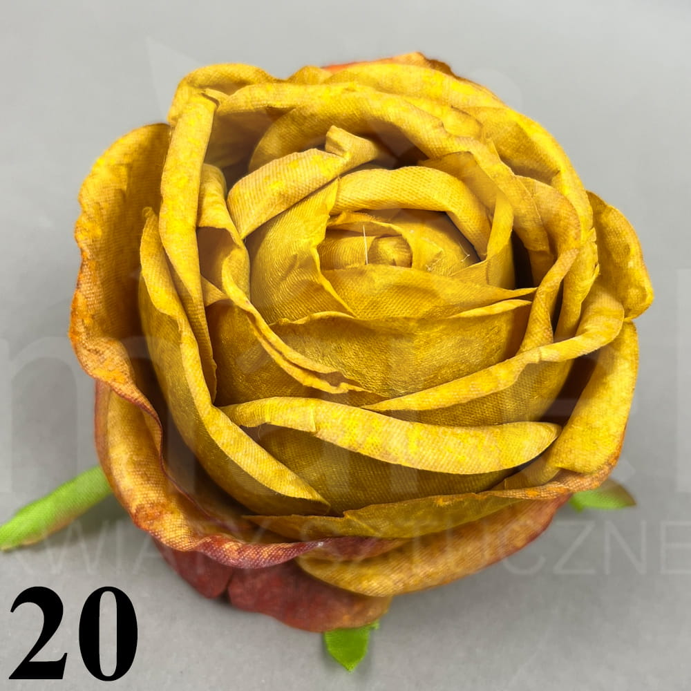 20.jpg