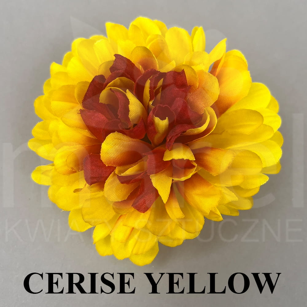CREISE YELLOW.jpg