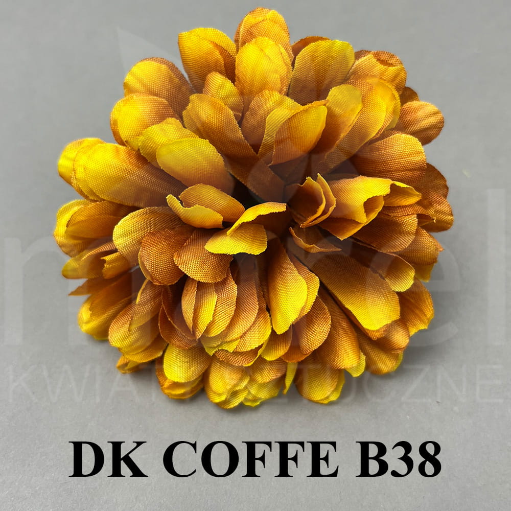 DK COFFE.JPG