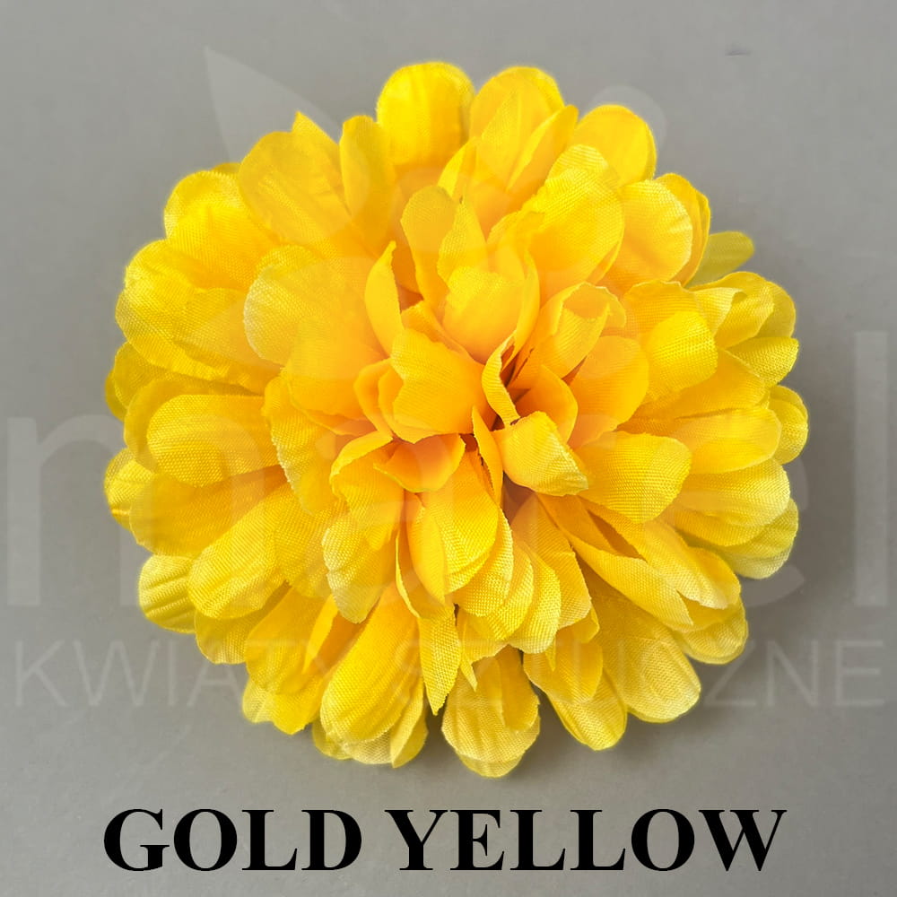 GOLD YELLOW.jpg