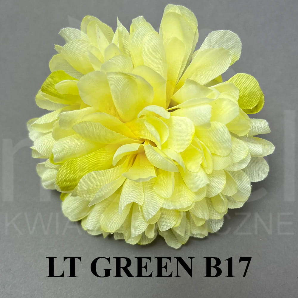 LT GREEN B17.jpg