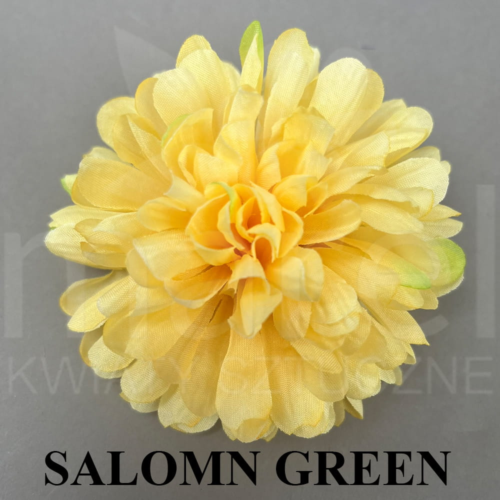 SALOMN GREEN.jpg