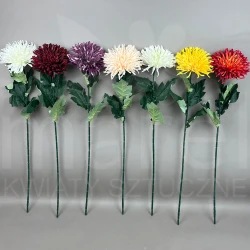 Chryzantema na łodydze 2201044A MIX1