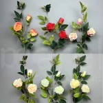 Róża 19622 TRZY MIXY