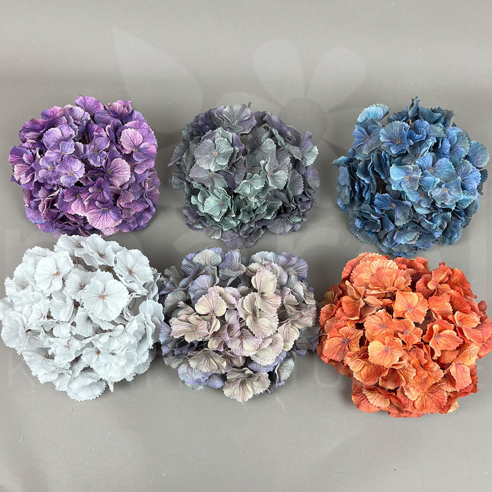 241107-4-1-1 MIX1.jpg