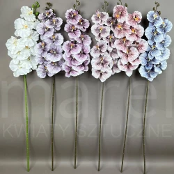 Storczyk T137-24-2499 AUT2