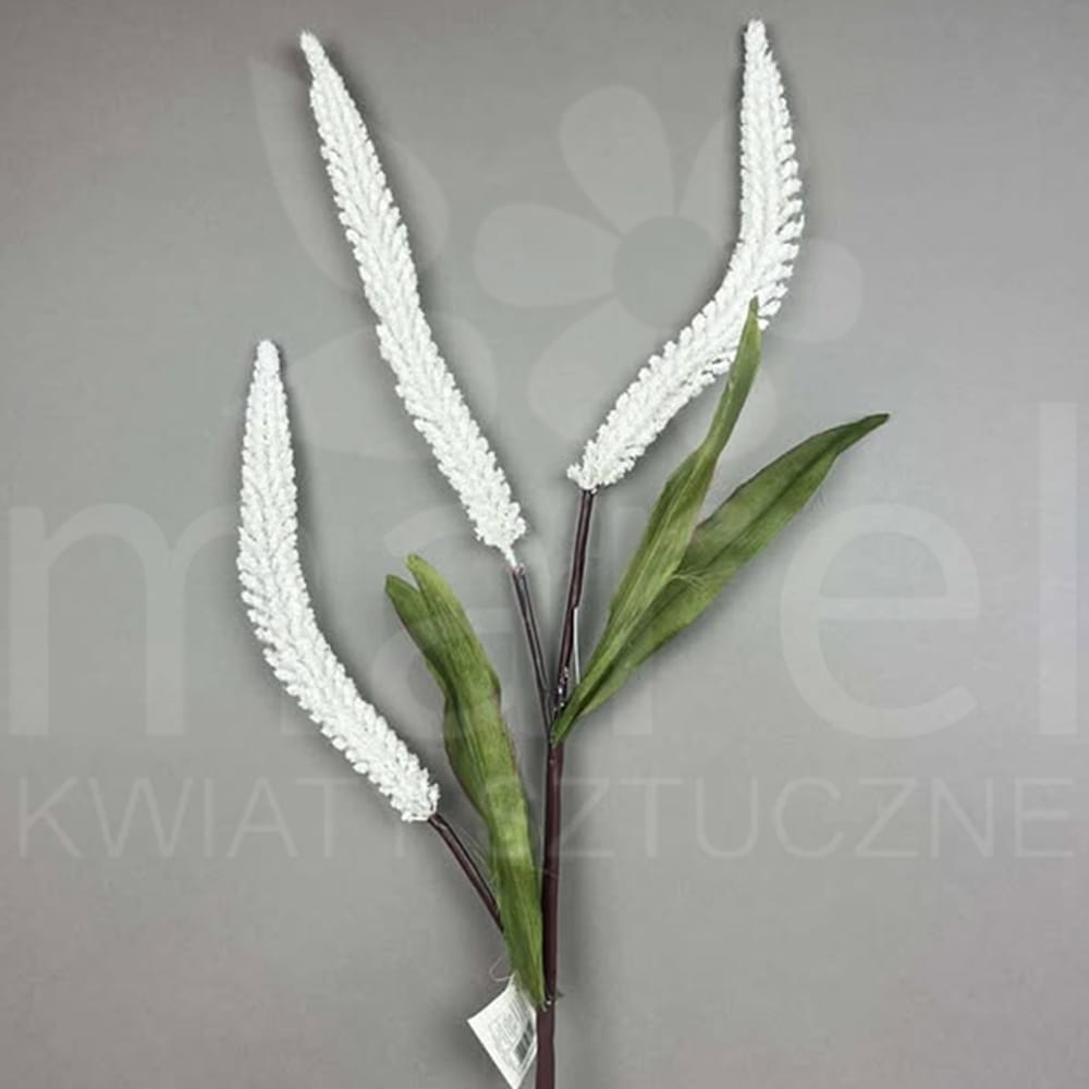KWO2414-1 PRZYB.jpg