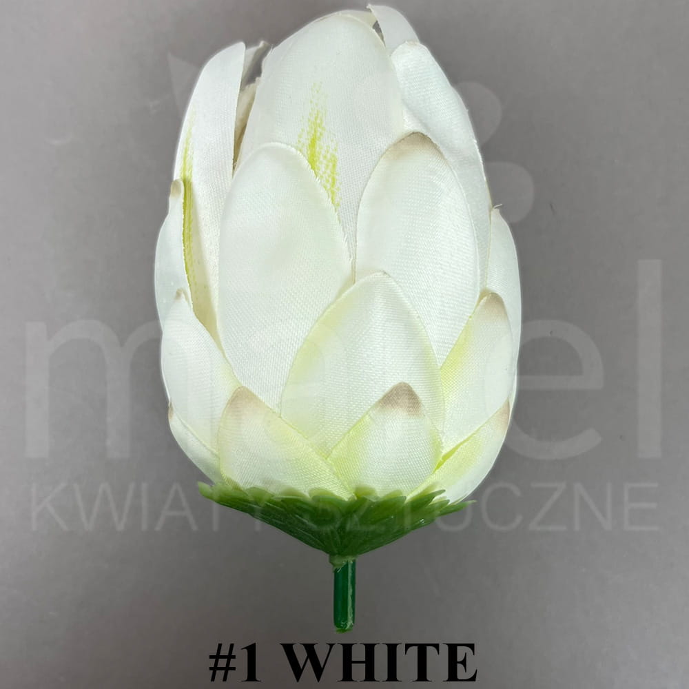 #1 WHITE.jpg