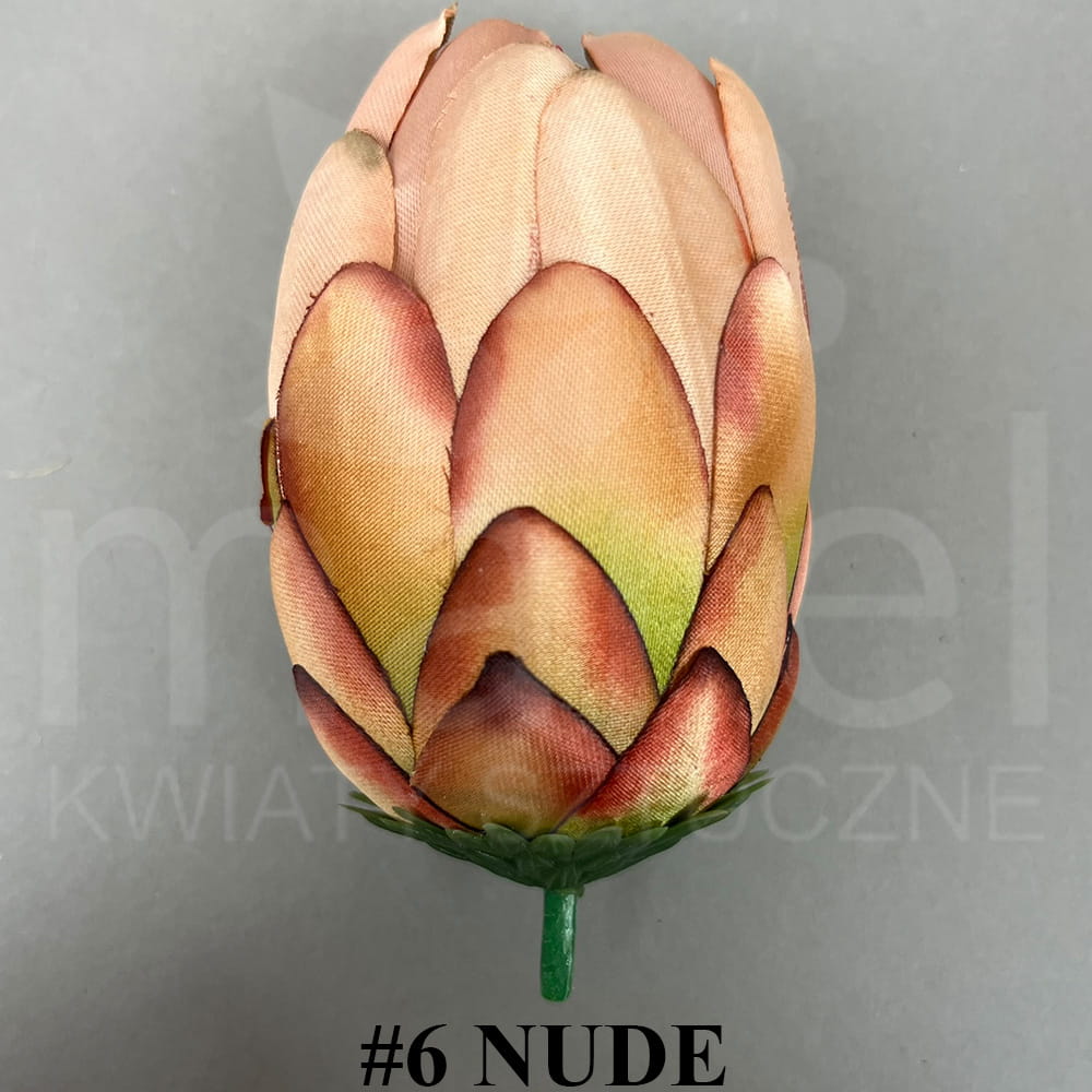 #6 NUDE.jpg