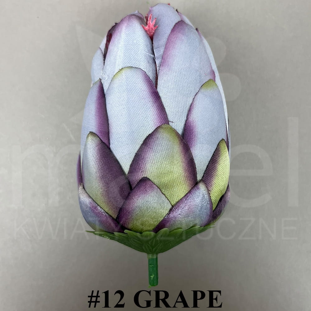 #12 GRAPE.jpg