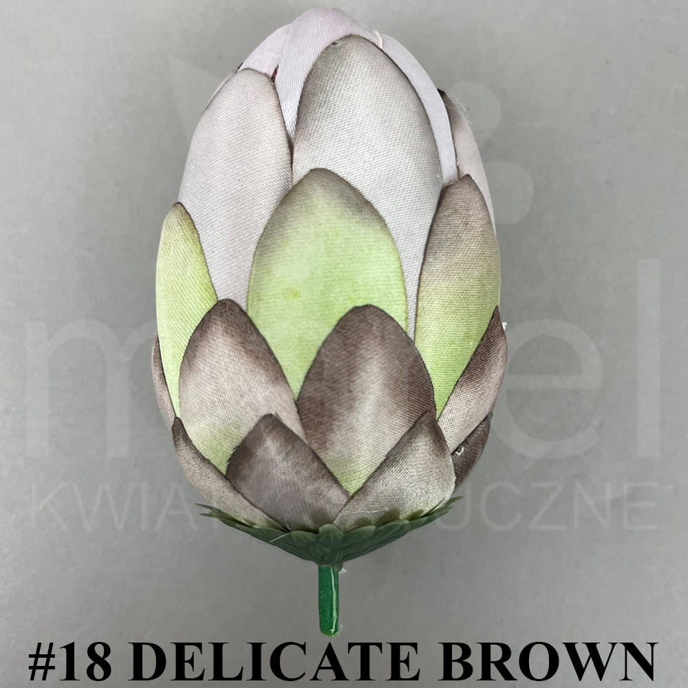 #18 DELICATE BROWN.jpg