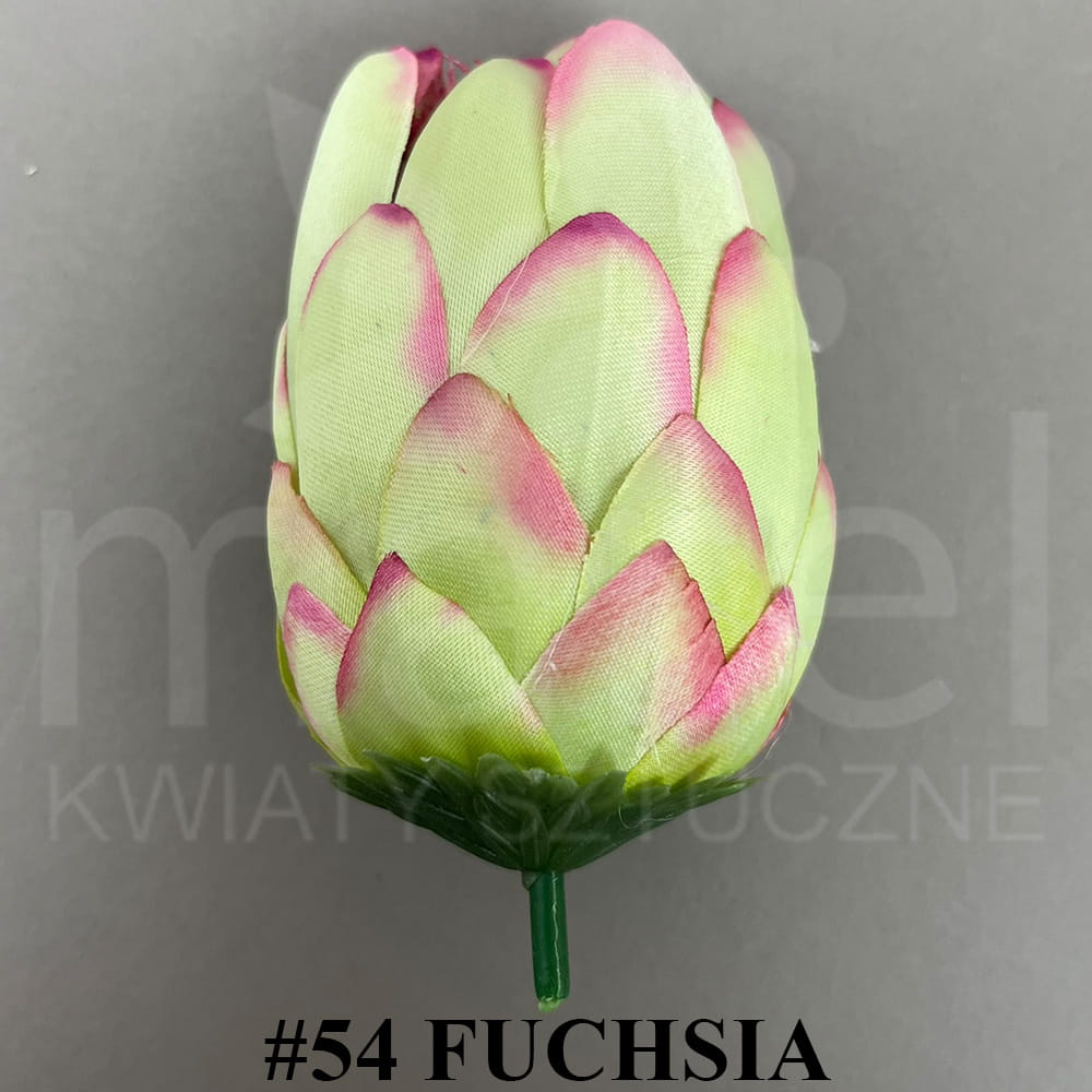 #54 FUCHSIA.jpg
