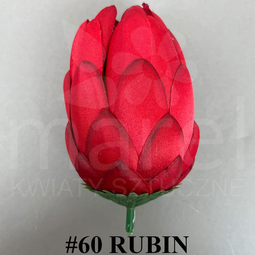 #60 RUBIN.jpg
