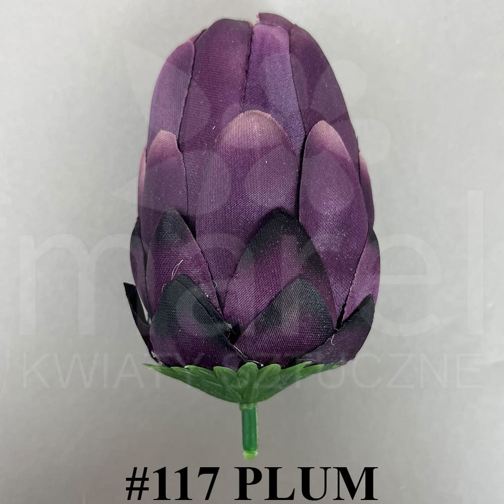 #117 PLUM.jpg
