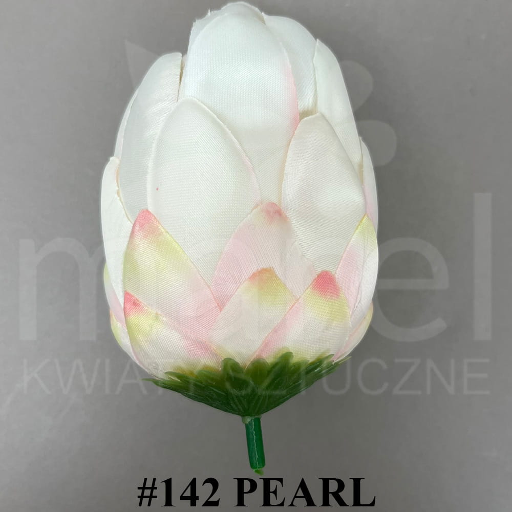 #142 PEARL.jpg