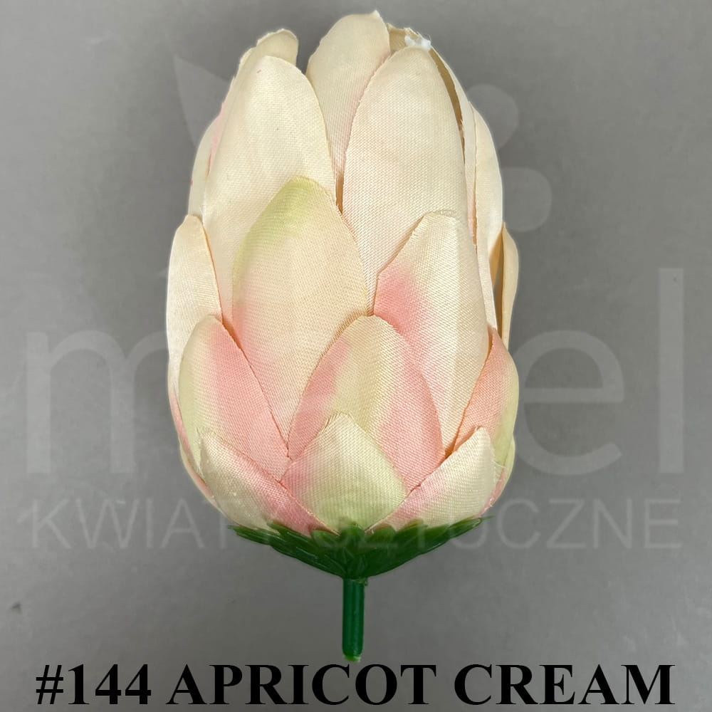 #144 APRICOT CREAM.jpg