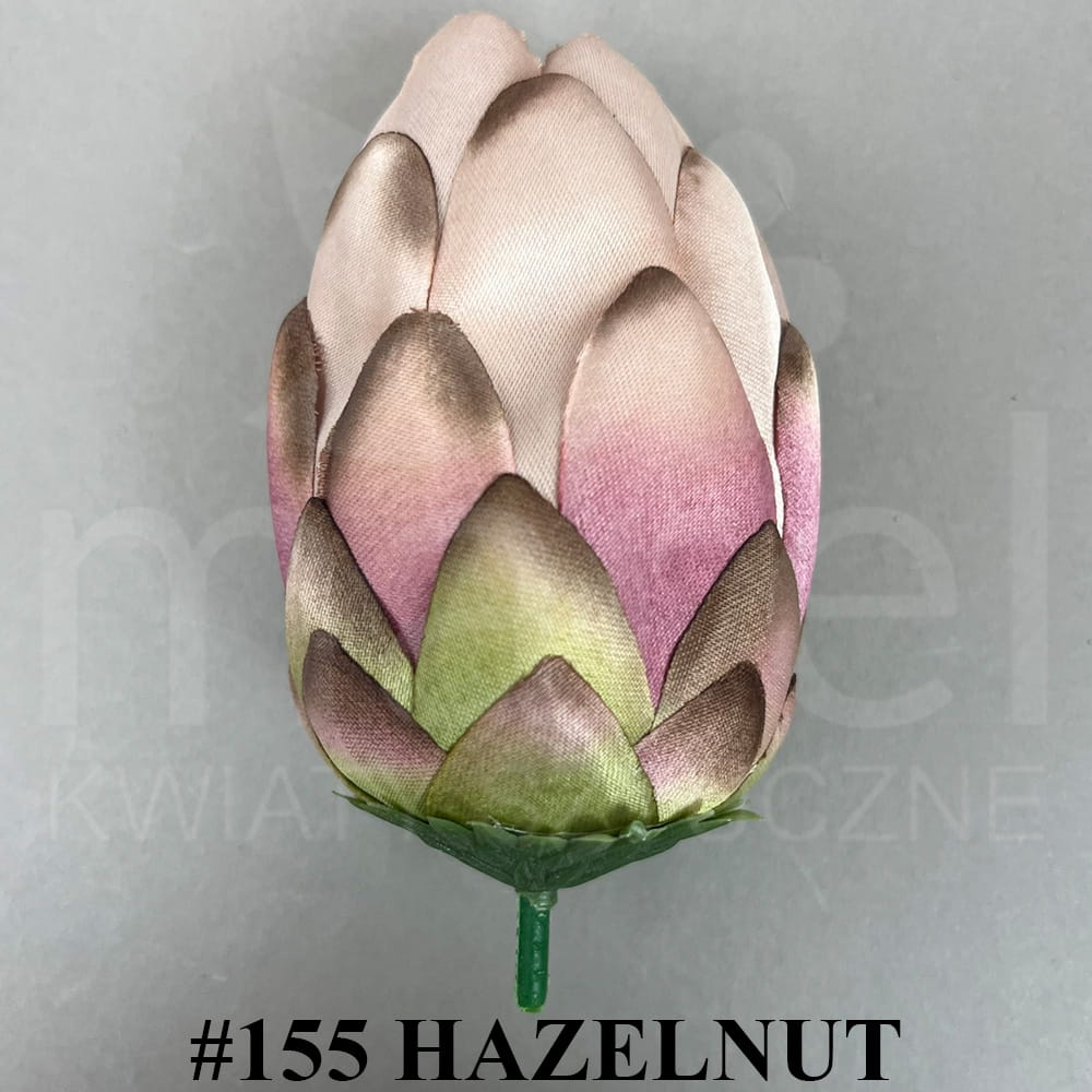#155 HAZELNUT.jpg