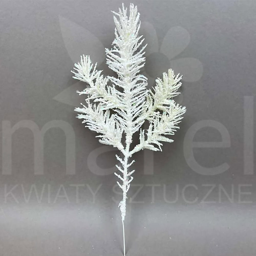 ZB119-WH.jpg